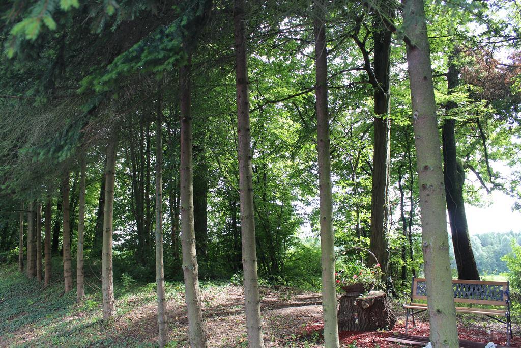 Hotel Drive In Motel Capellen Exteriör bild